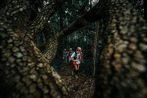 BIB: 
                            <button type="button" onclick="openModal(25679938)" class="btn btn-primary btn-sm float-right btn-popup" data-toggle="modal" data-target=".modal-high-quality">
                        <i class="fas fa-shopping-cart"></i> Add to Cart
                    </button>
                                            <button type="button" onclick="isThisMe(25679938, true)" class="btn btn-success btn-sm float-right btn-popup btn-isme hidden" data-toggle="tooltip" data-placement="bottom" title="นี่คือรูปของคุณใช่ไหม คลิกที่นี่เพื่อเอาเข้าอัลบั้ม">
                        <i class="fas fa-plus"></i> Add to album
                    </button>
                    <button type="button" onclick="isThisMe(25679938, false)" class="btn btn-warning btn-sm float-right btn-popup btn-isnotme hidden">
                        <i class="fas fa-ban"></i> Remove from album
                    </button>